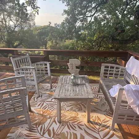 With Sea View And 80 M2 Terrace Hébergement de vacances *